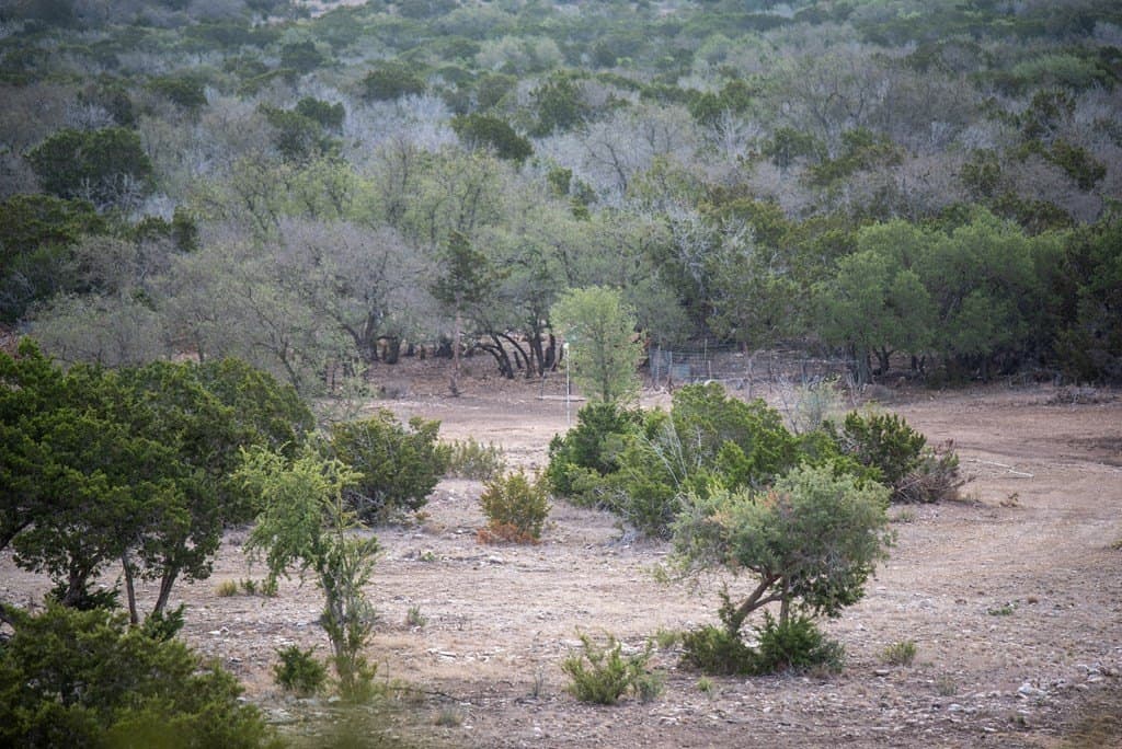 25 acres in Edwards County - photo 9