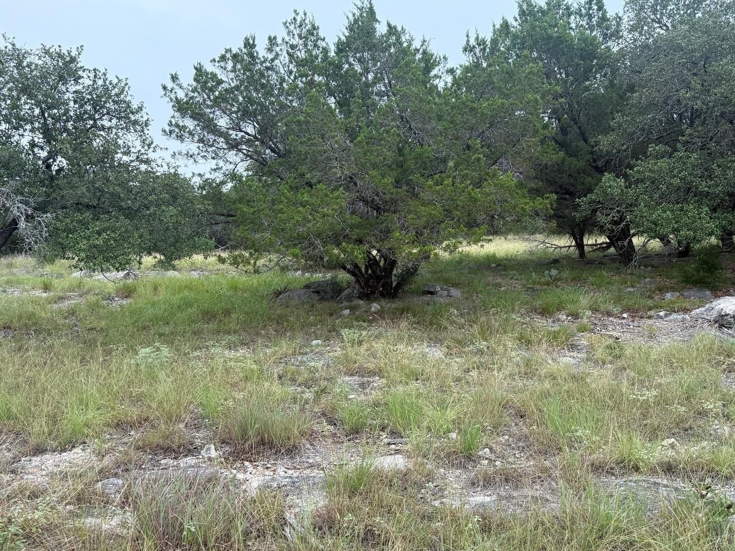 0.25 acres in Llano County gallery image 3