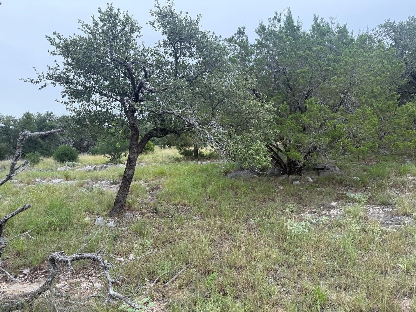 0.25 acres in Llano County gallery image 4