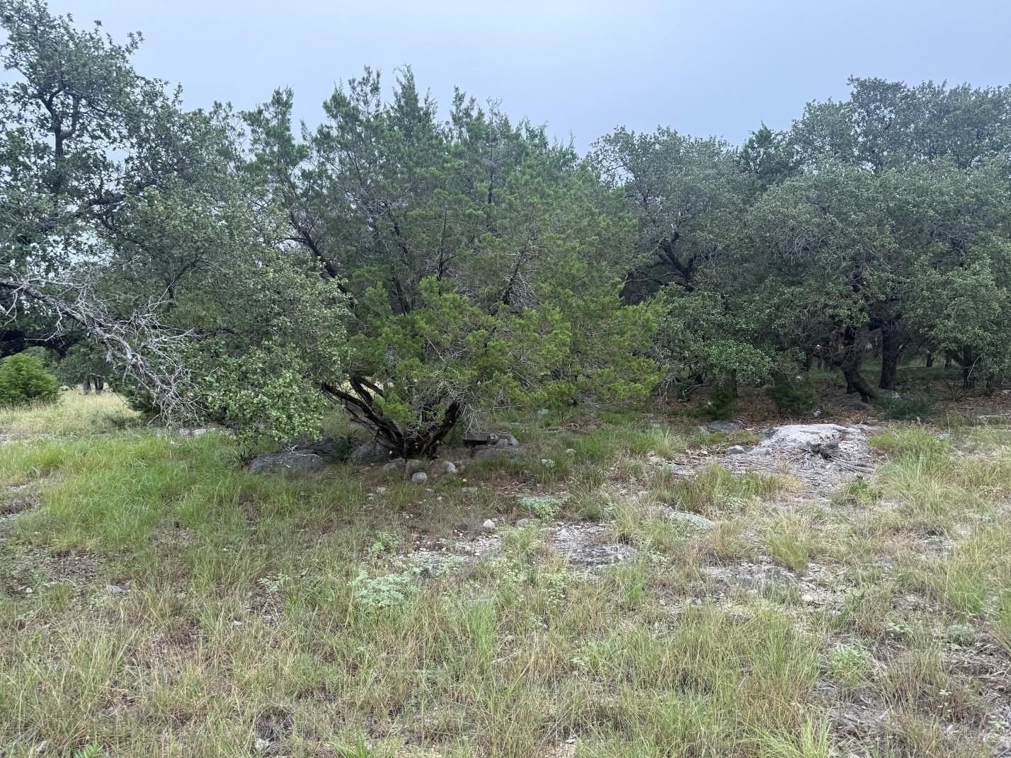 0.25 acres in Llano County gallery image 2