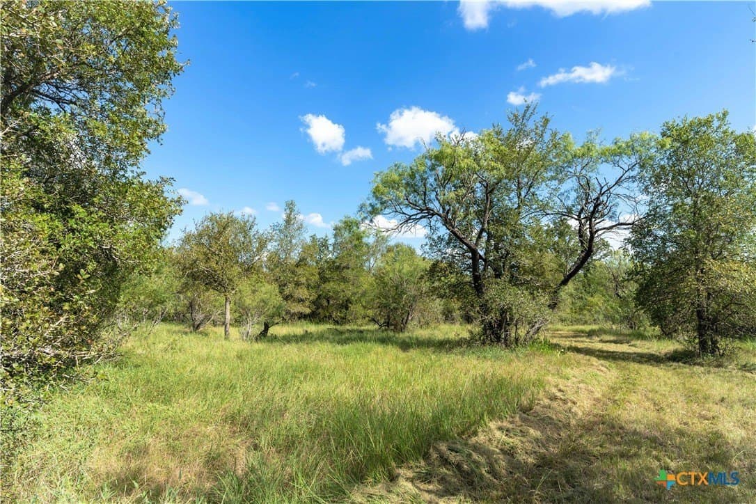 26.36 acres in Caldwell County - photo 11