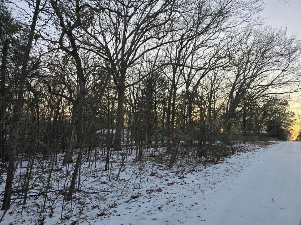 0.12 acres in Henderson County gallery image 2