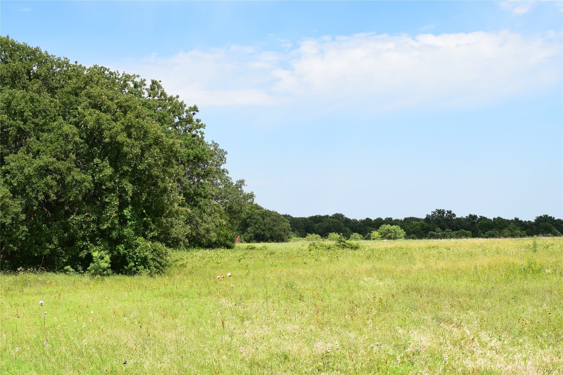 17.32 acres in Parker County - photo 7