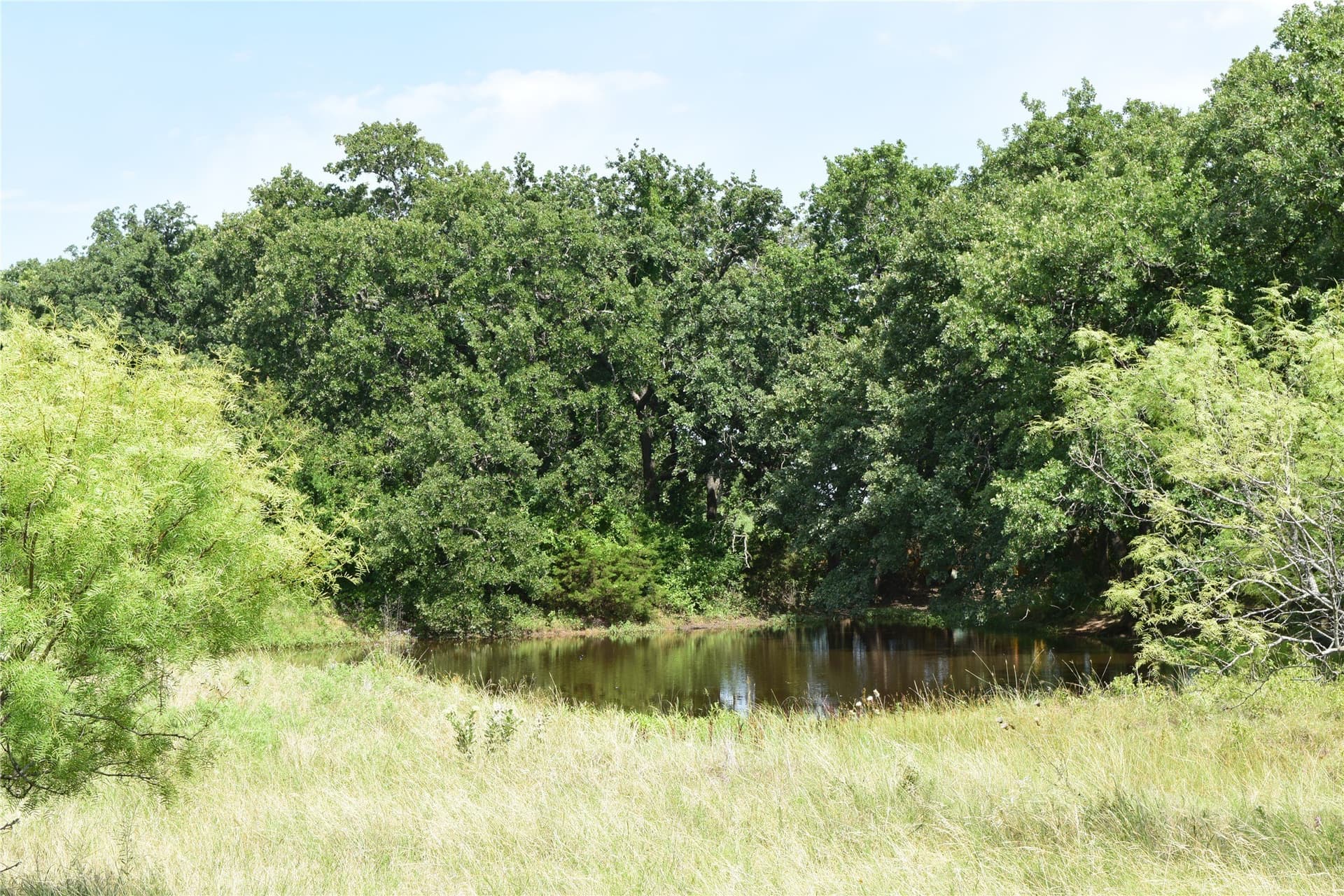 17.32 acres in Parker County gallery image 4