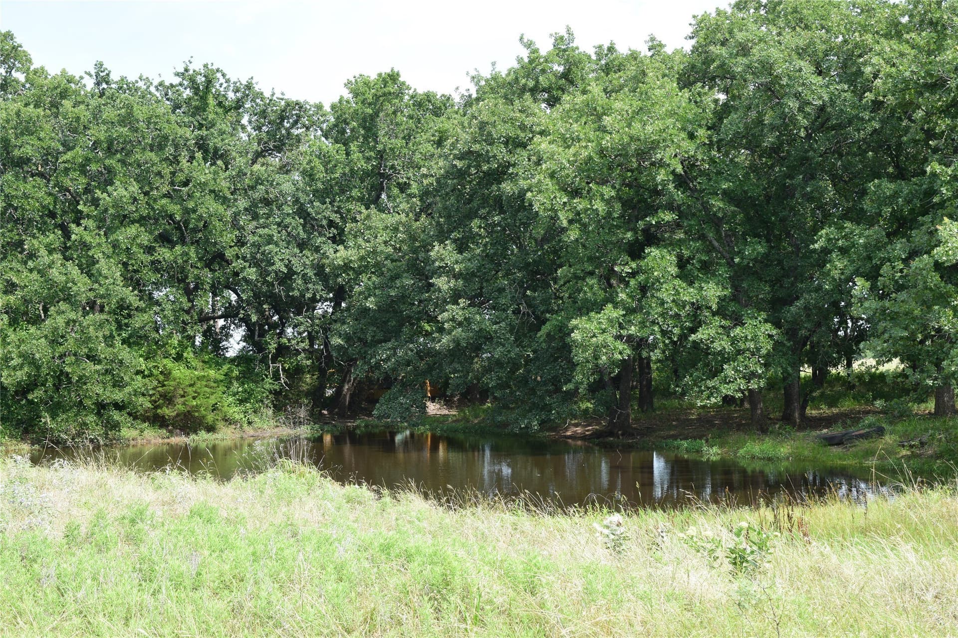17.32 acres in Parker County gallery image 2