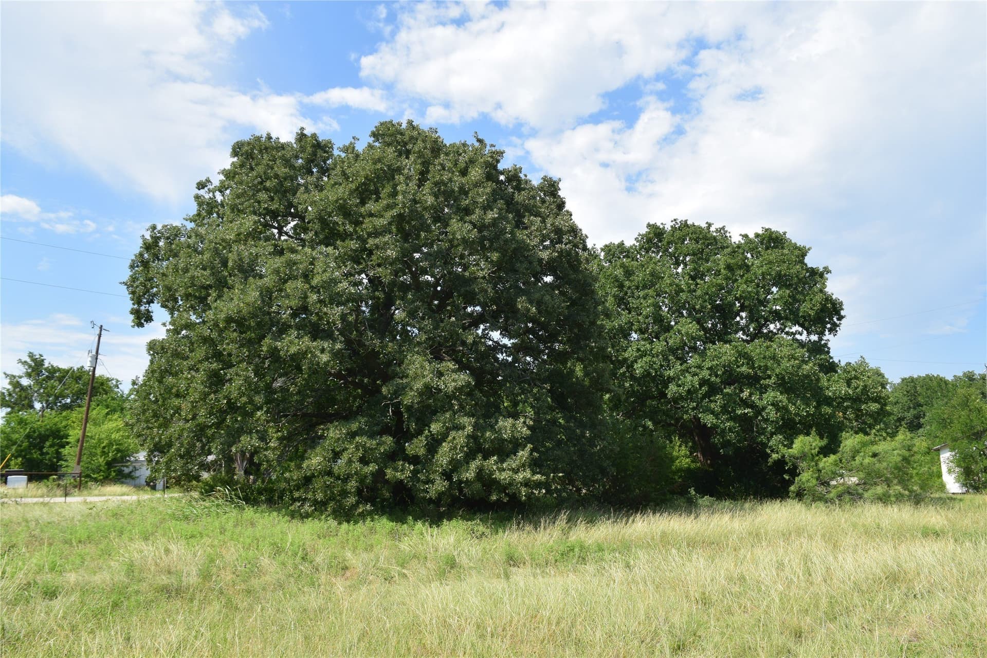 17.32 acres in Parker County gallery image 3