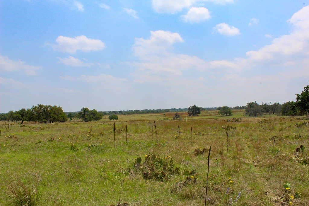 5.19 acres in Kerr County gallery image 2