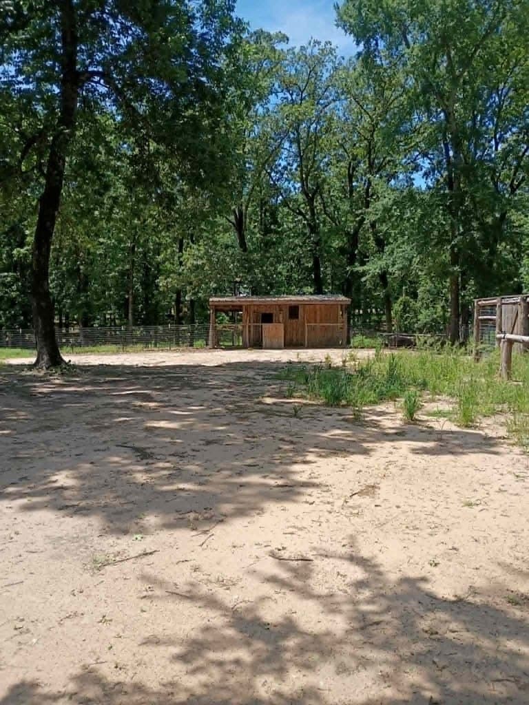 10 acres in Henderson County featured view