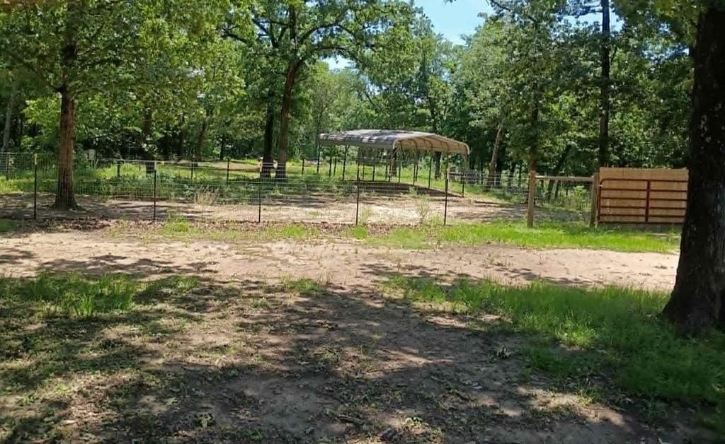 10 acres in Henderson County gallery image 3
