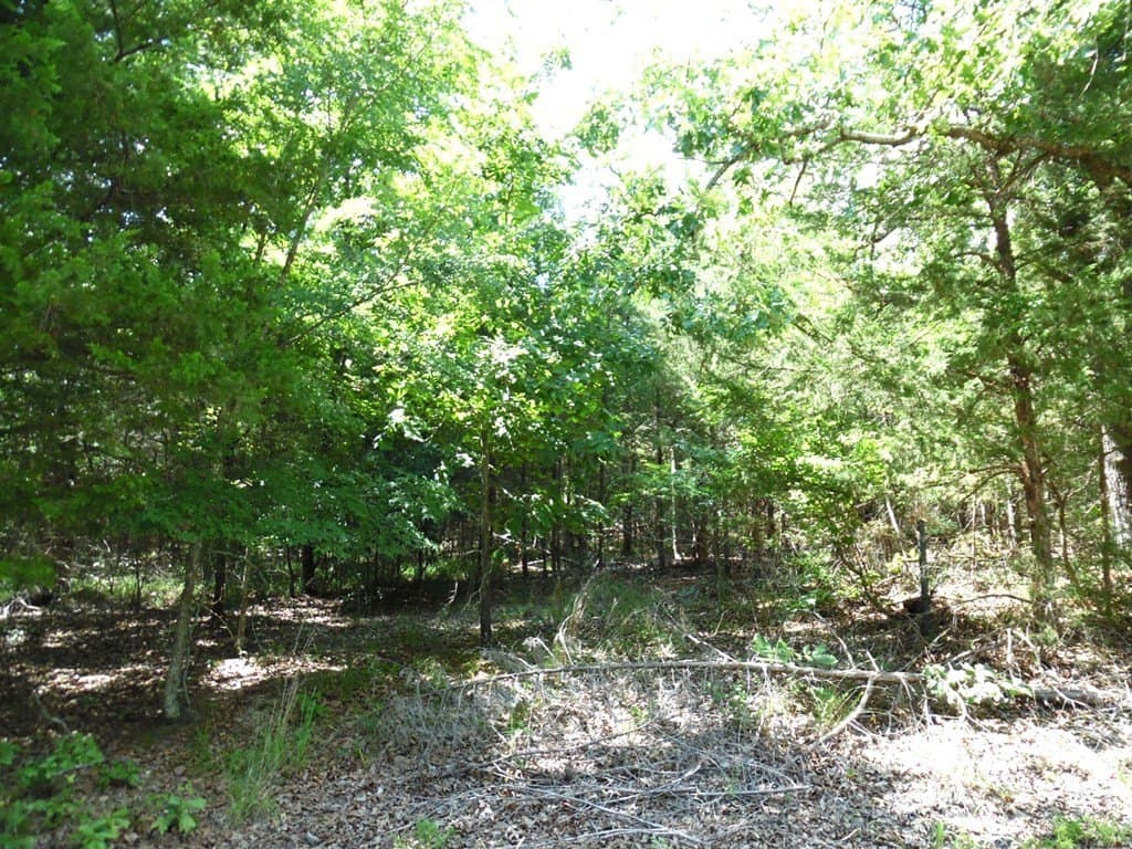 0.43 acres in Van Zandt County gallery image 4