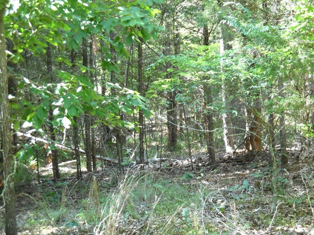 0.43 acres in Van Zandt County featured view