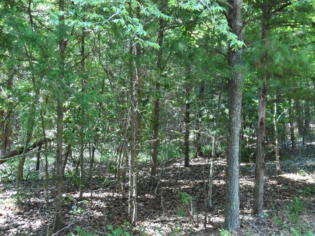 0.43 acres in Van Zandt County gallery image 3
