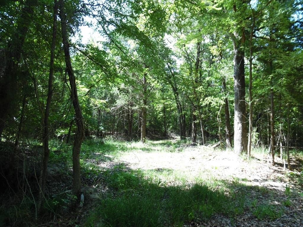 0.43 acres in Van Zandt County
