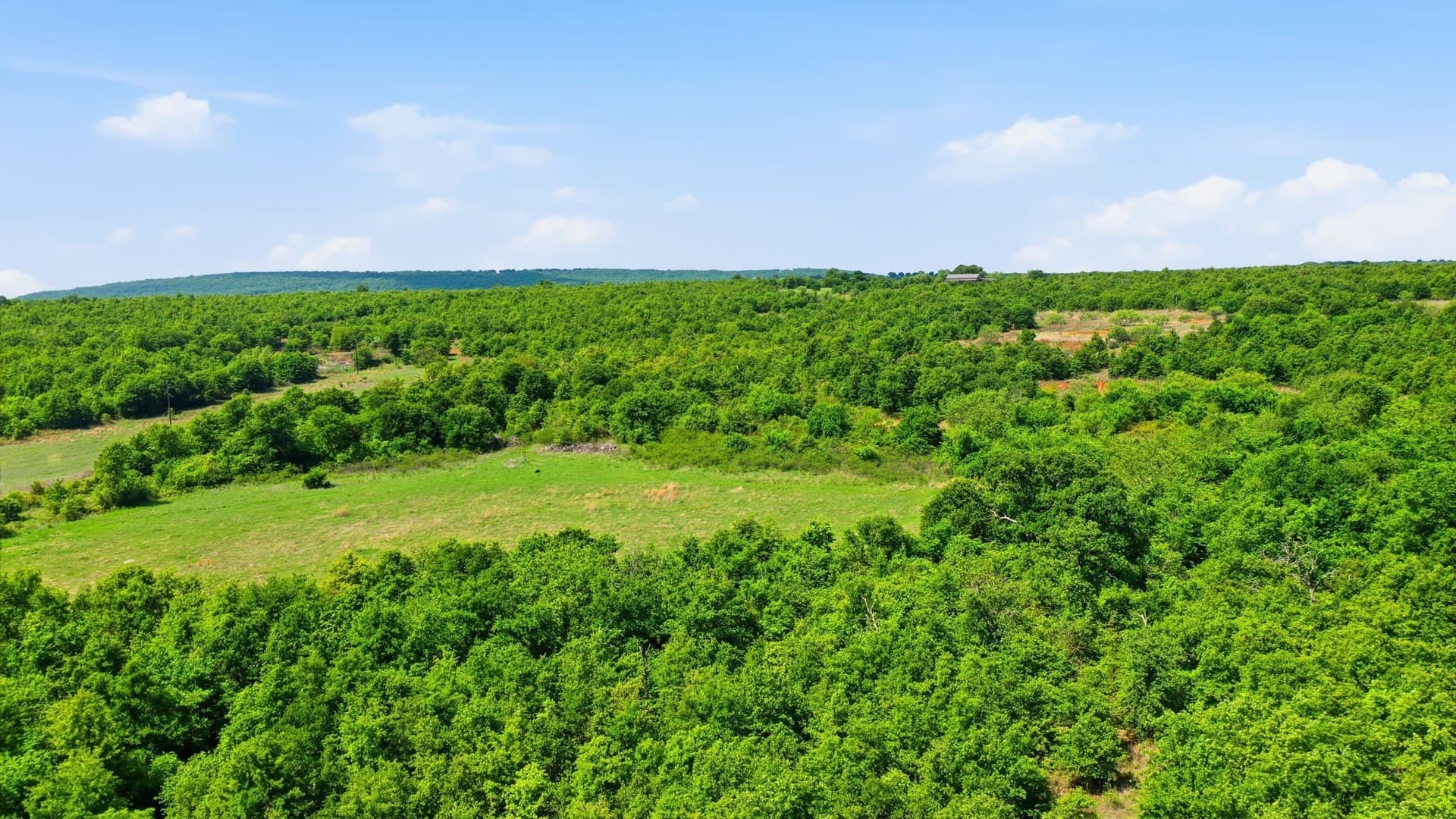 20 acres in Jack County - photo 17