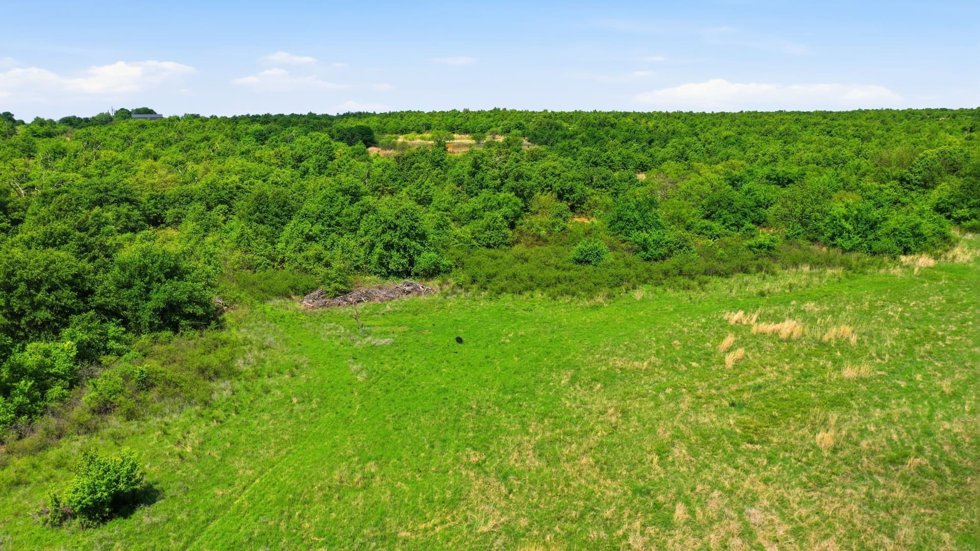 20 acres in Jack County - photo 10