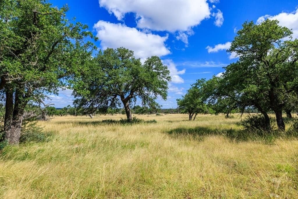 9.31 acres in Gillespie County
