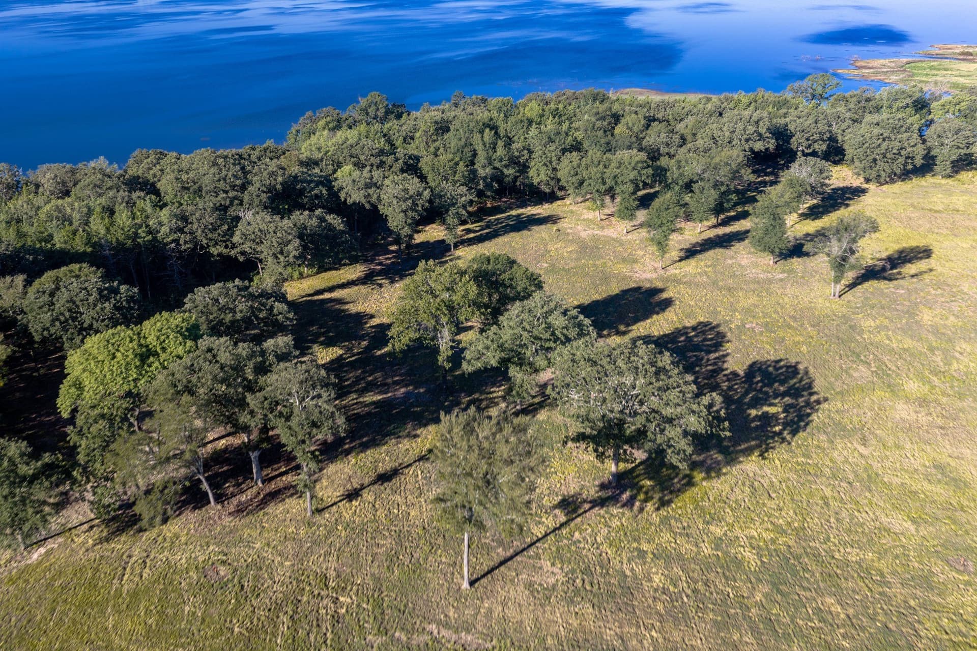 2.06 acres in Fannin County - photo 30