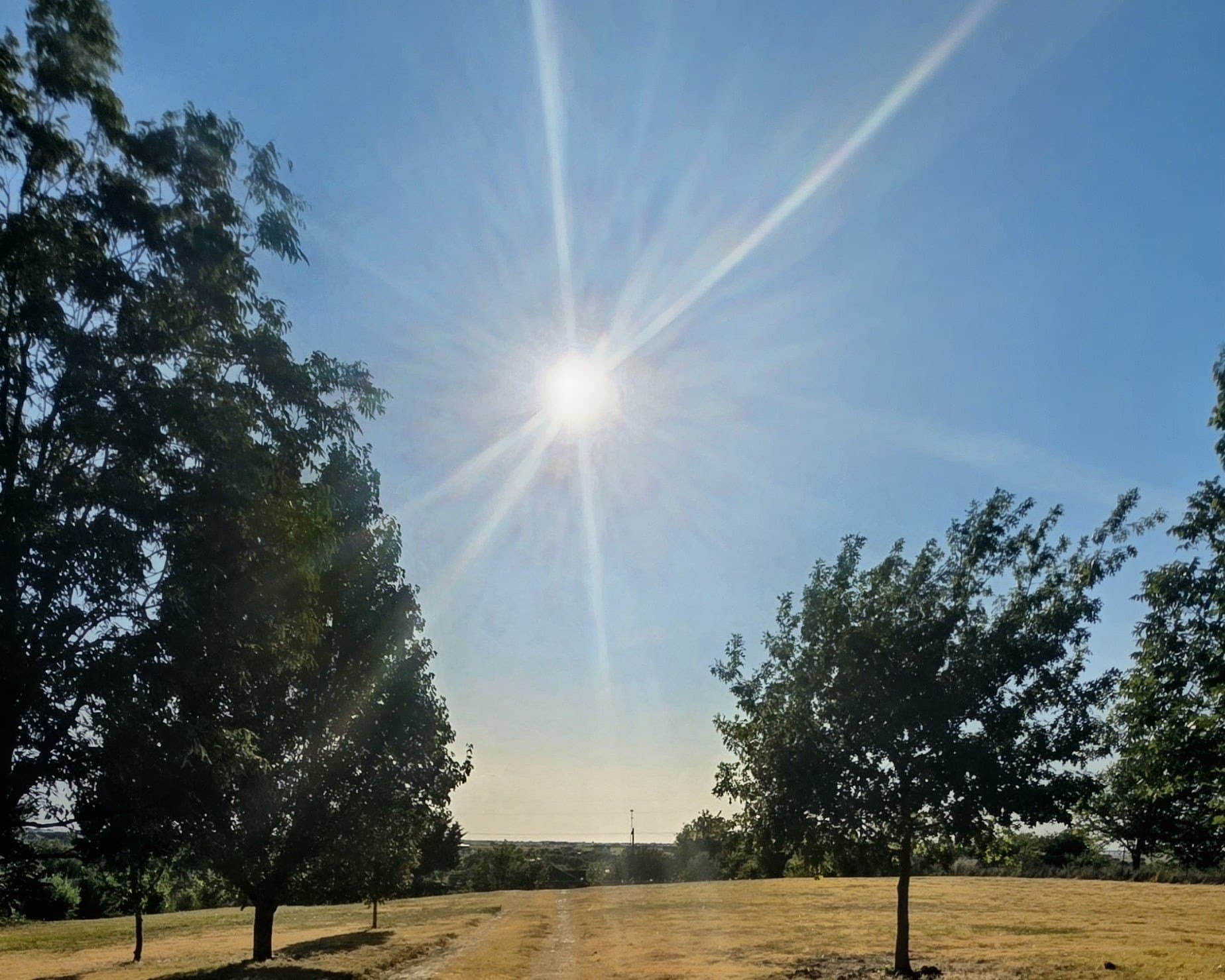 1.6 acres in Johnson County - photo 2