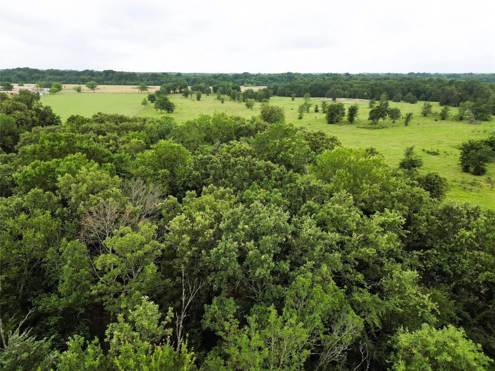 30.21 acres in Hopkins County - photo 17