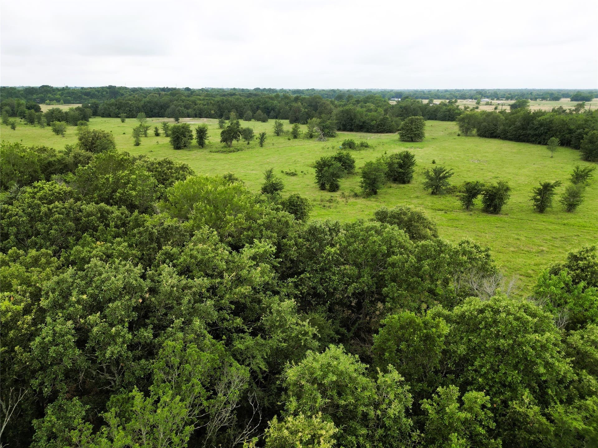 30.21 acres in Hopkins County - photo 16