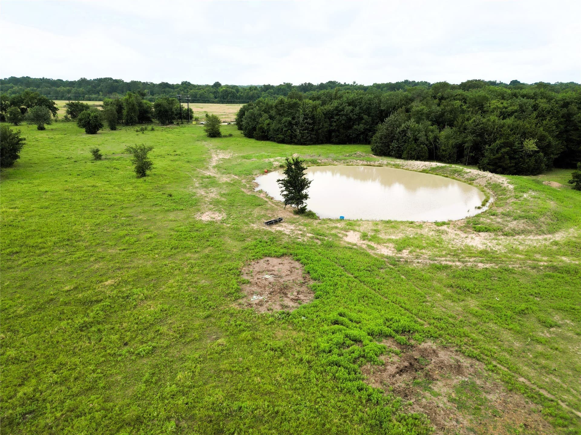 30.21 acres in Hopkins County - photo 6