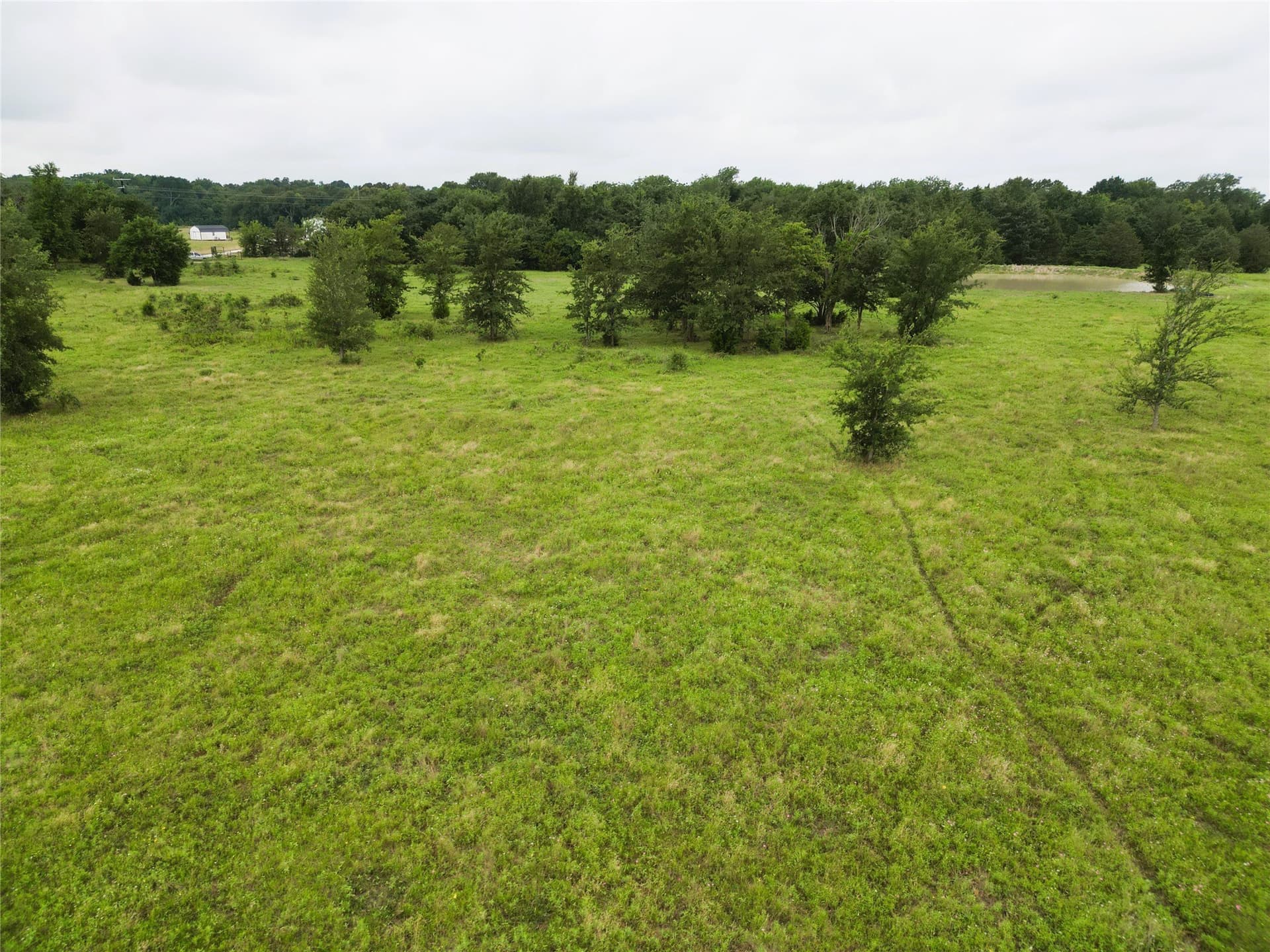 30.21 acres in Hopkins County - photo 7