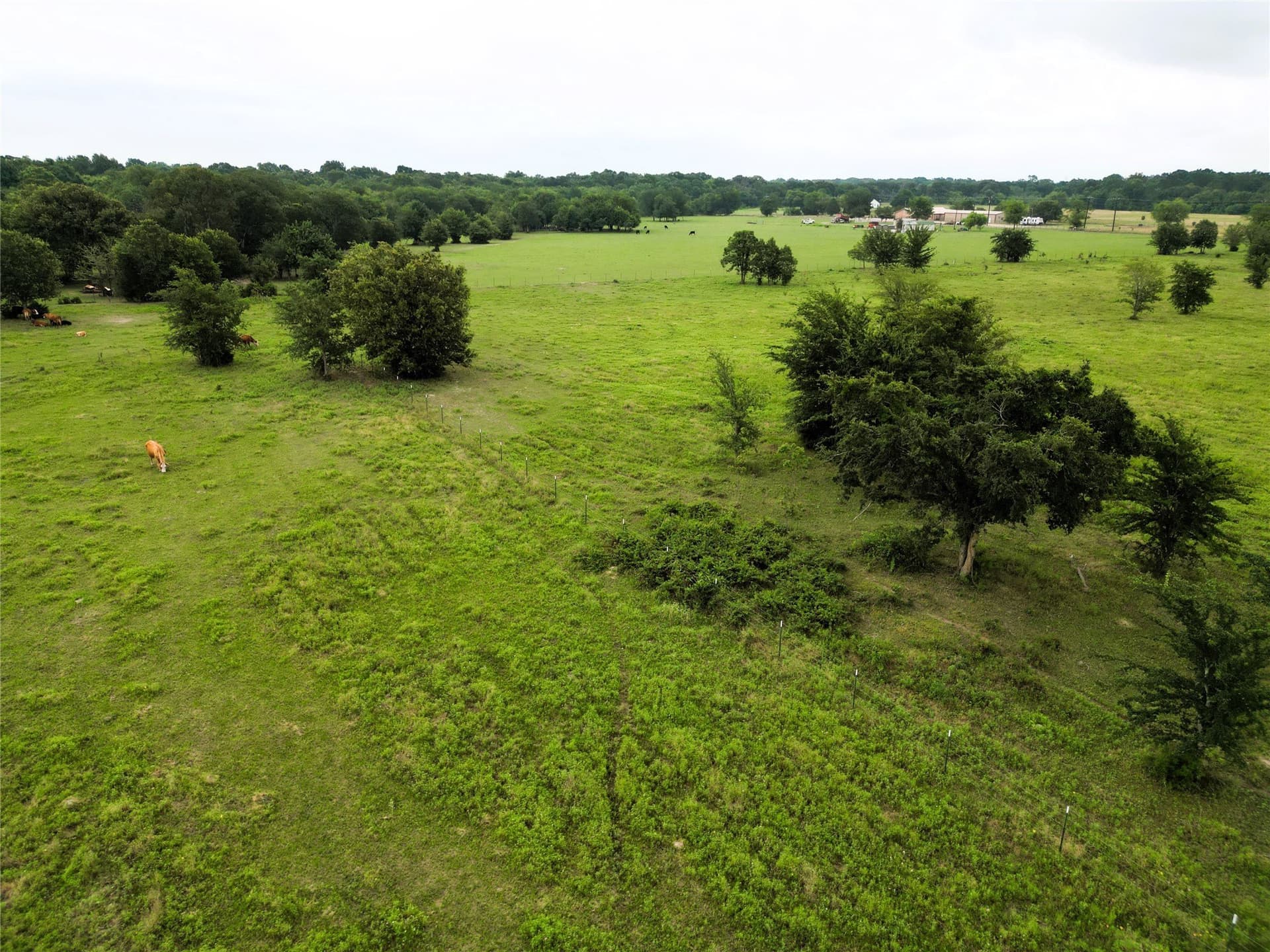 30.21 acres in Hopkins County - photo 20