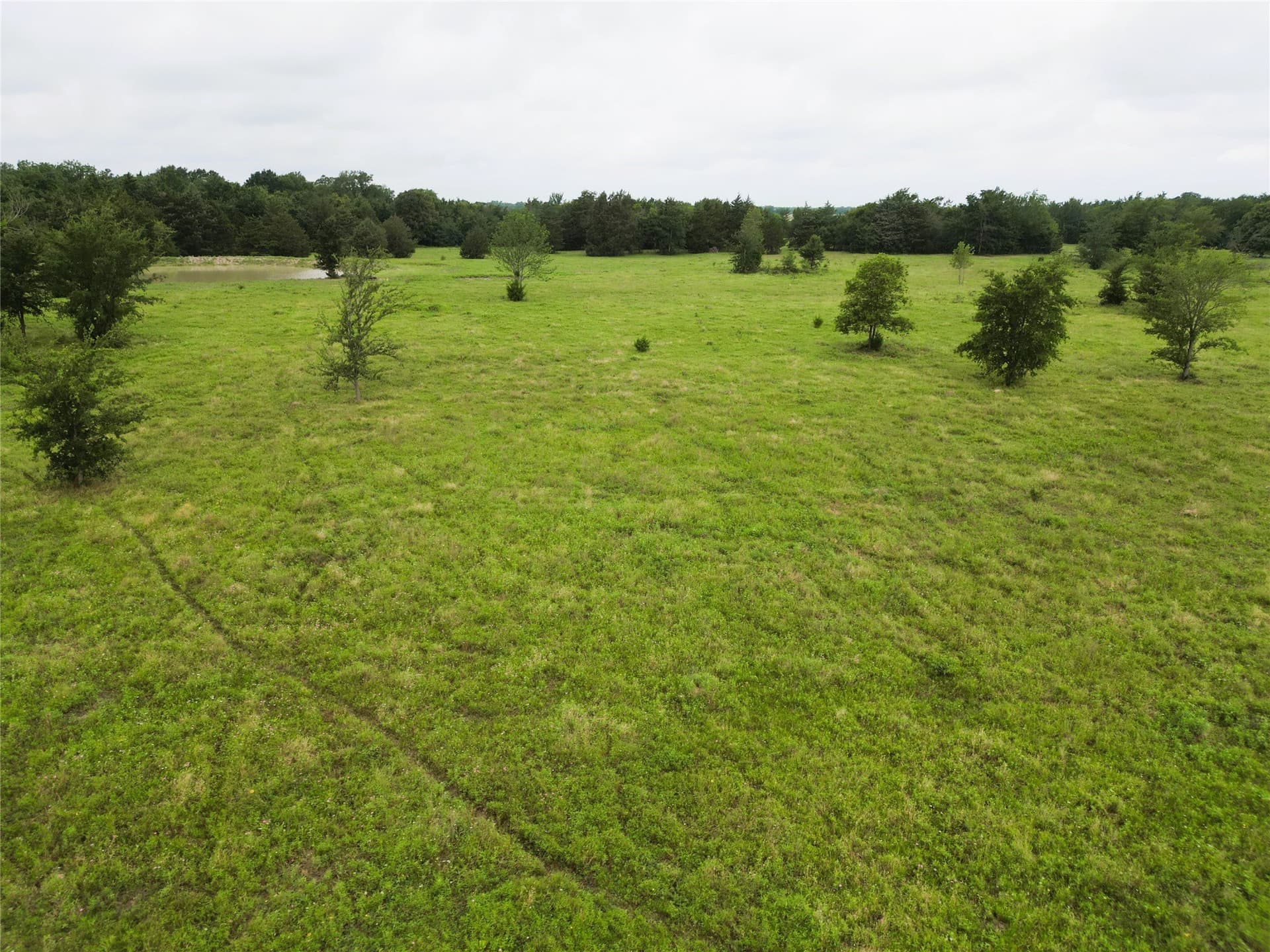 30.21 acres in Hopkins County featured view