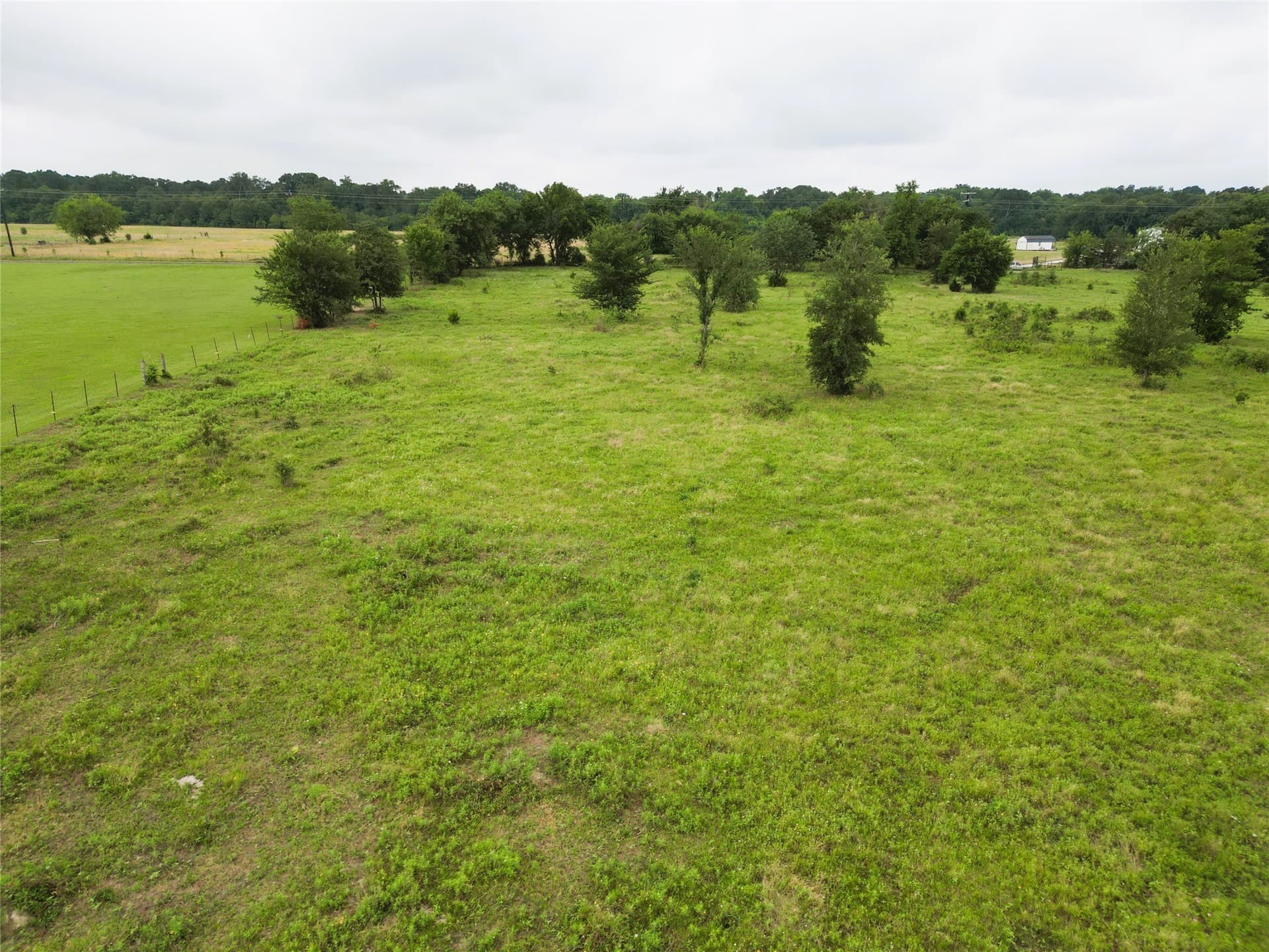 30.21 acres in Hopkins County - photo 8