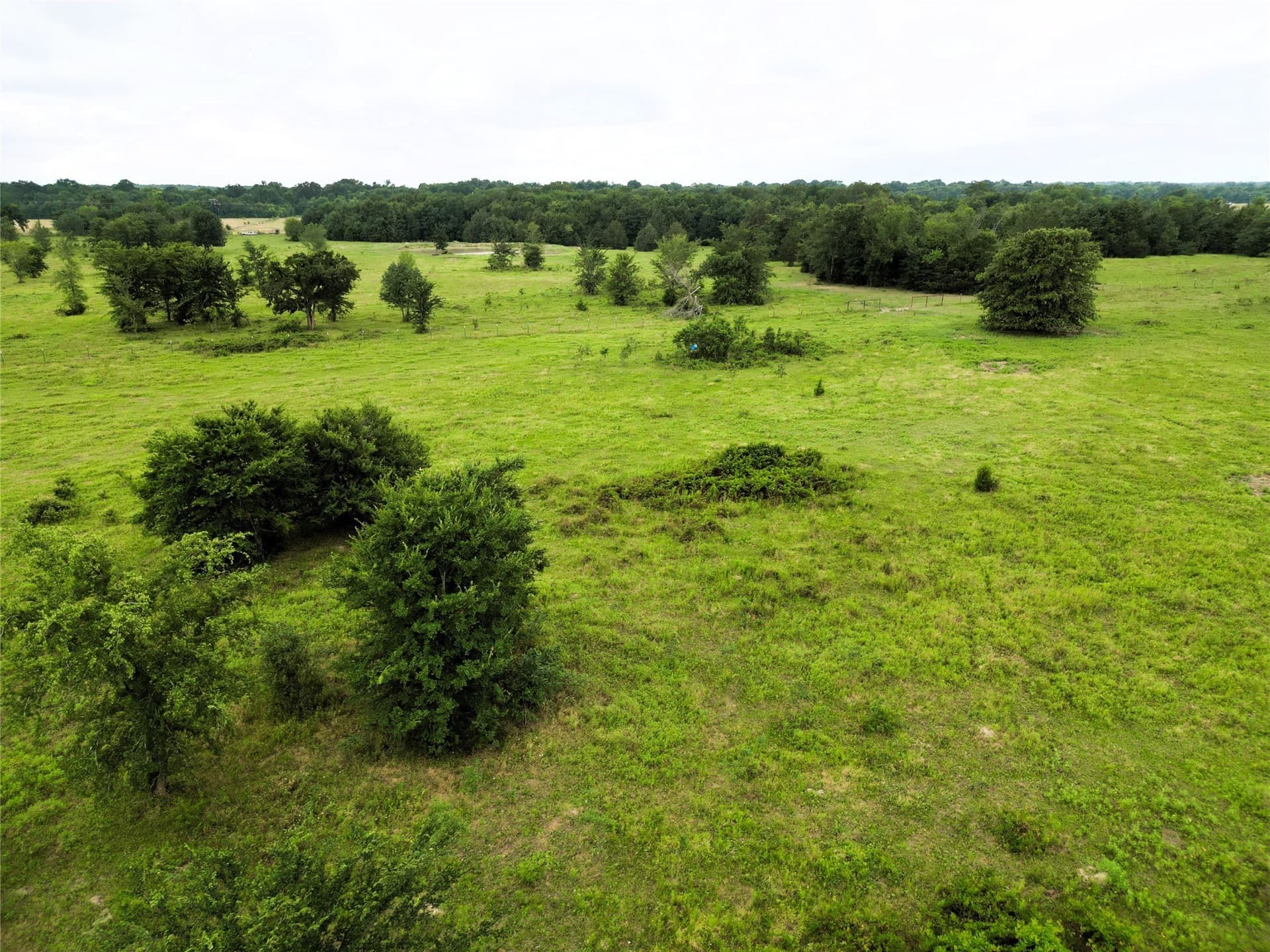 30.21 acres in Hopkins County - photo 19