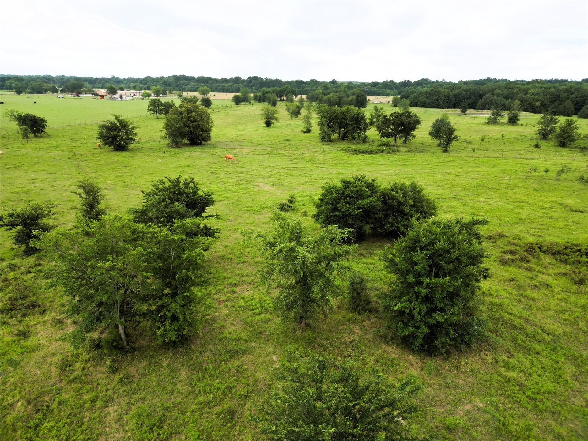 30.21 acres in Hopkins County - photo 18