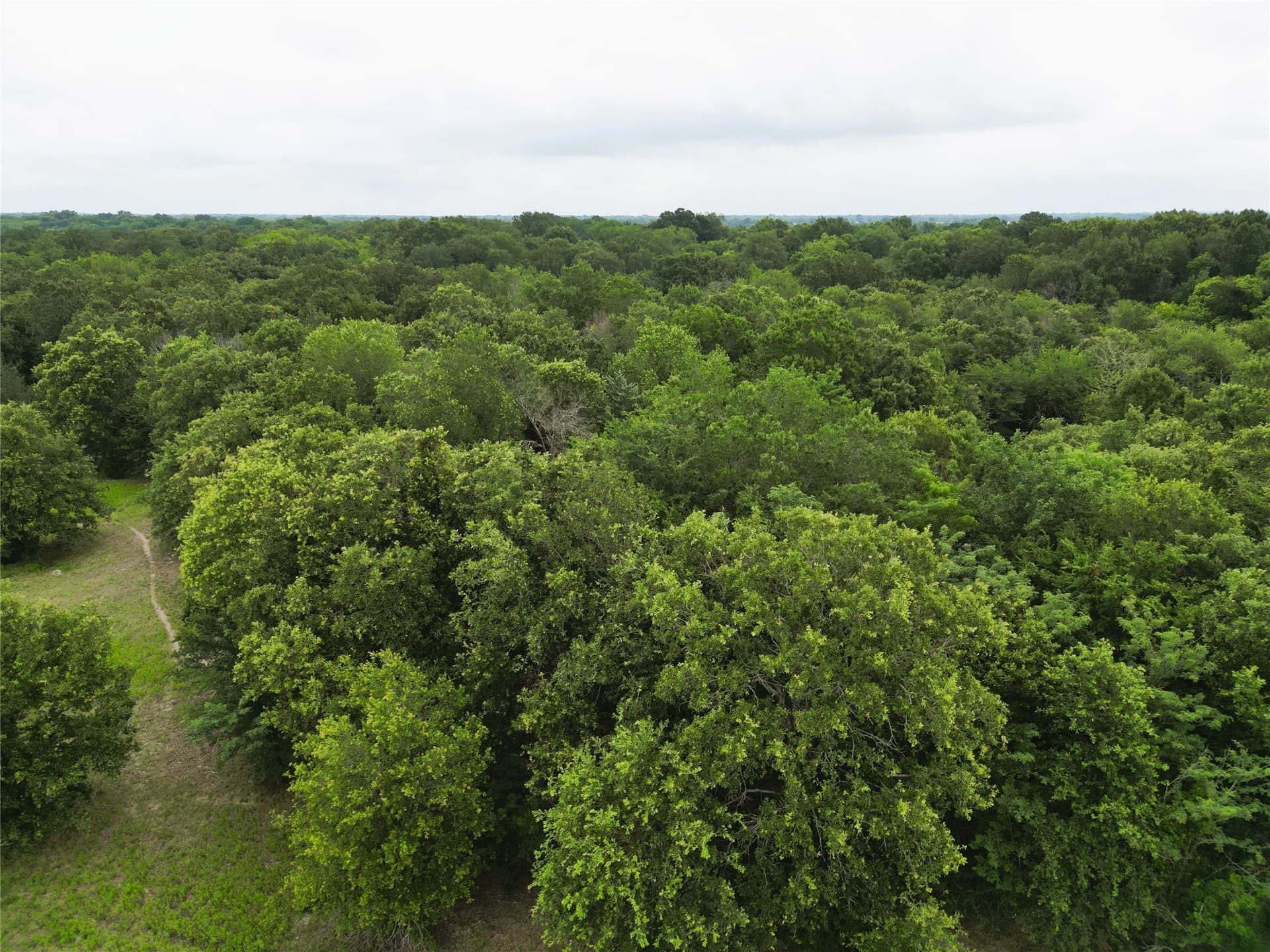 30.21 acres in Hopkins County - photo 12