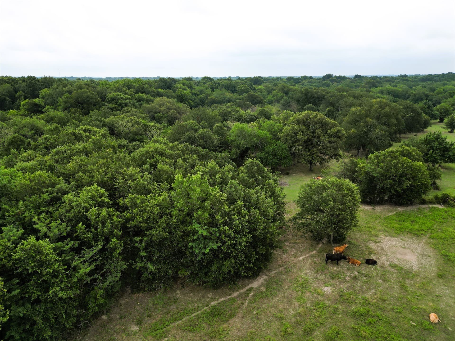 30.21 acres in Hopkins County - photo 14