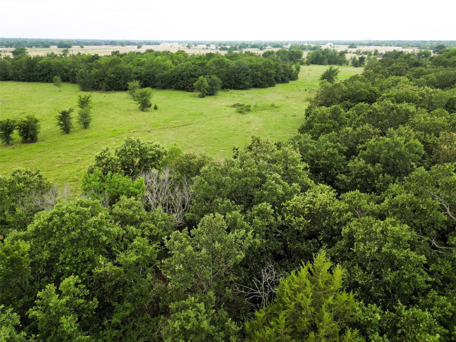 30.21 acres in Hopkins County - photo 15