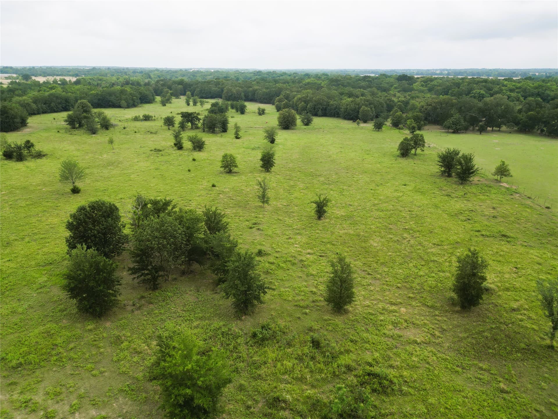 30.21 acres in Hopkins County gallery image 2