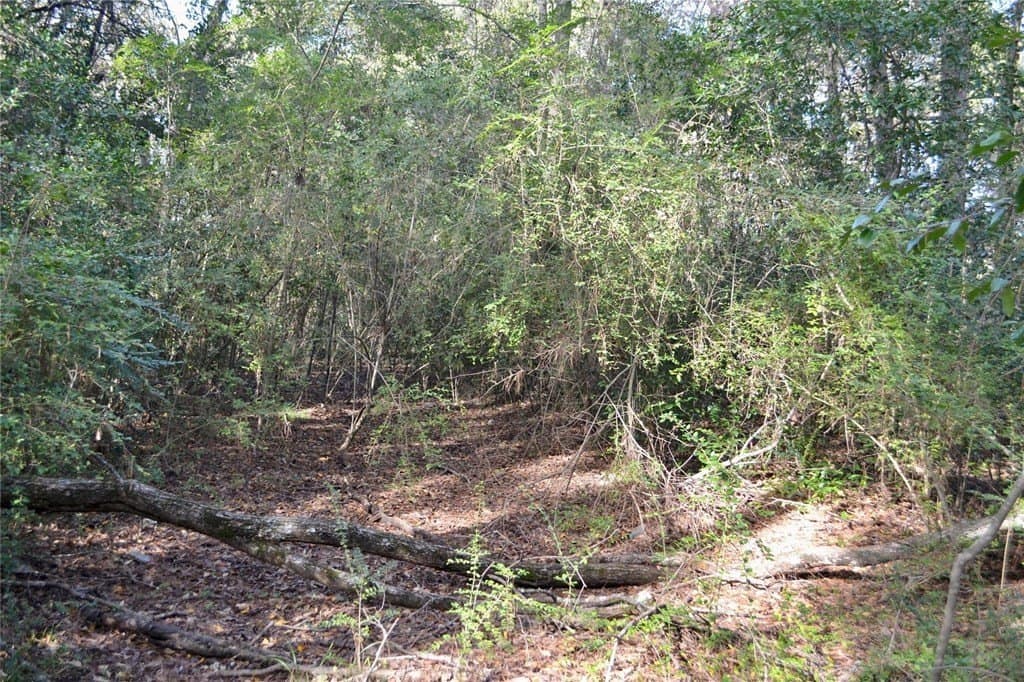 2.41 acres in Harrison County - photo 10