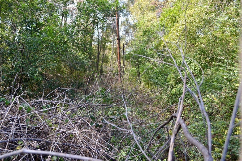 2.41 acres in Harrison County - photo 17
