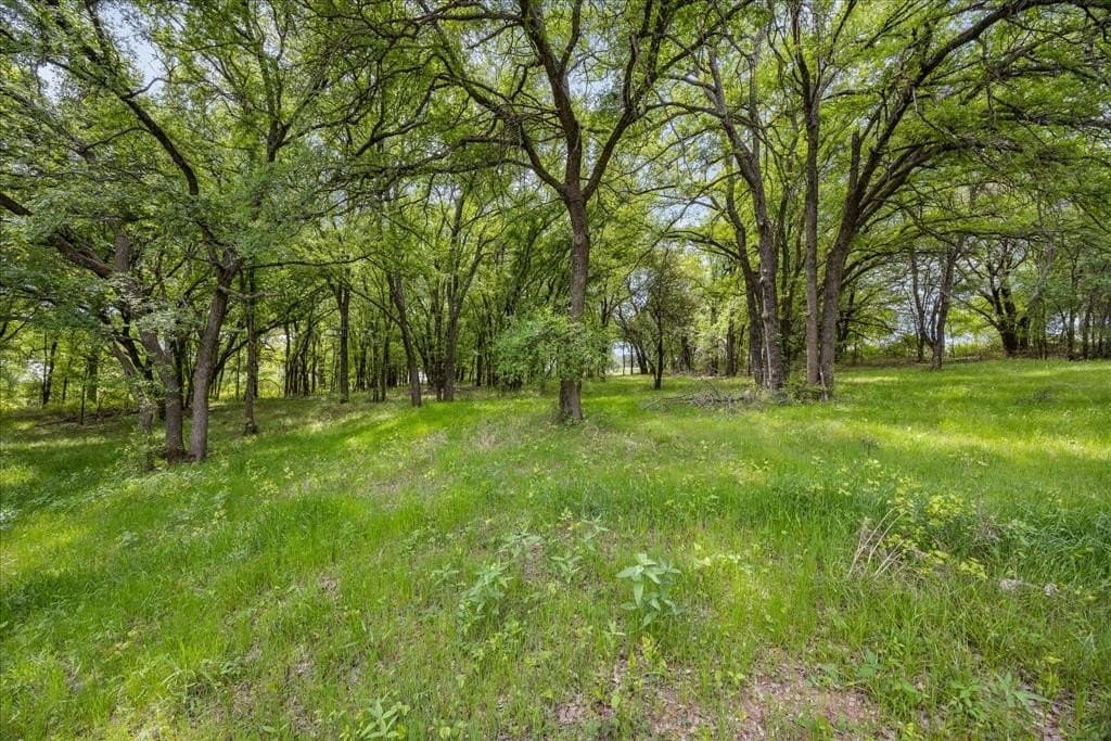 18.65 acres in Somervell County gallery image 4