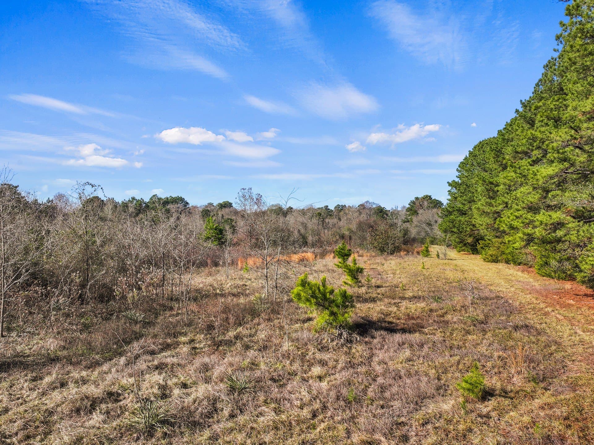 12 acres in Cass County - photo 11