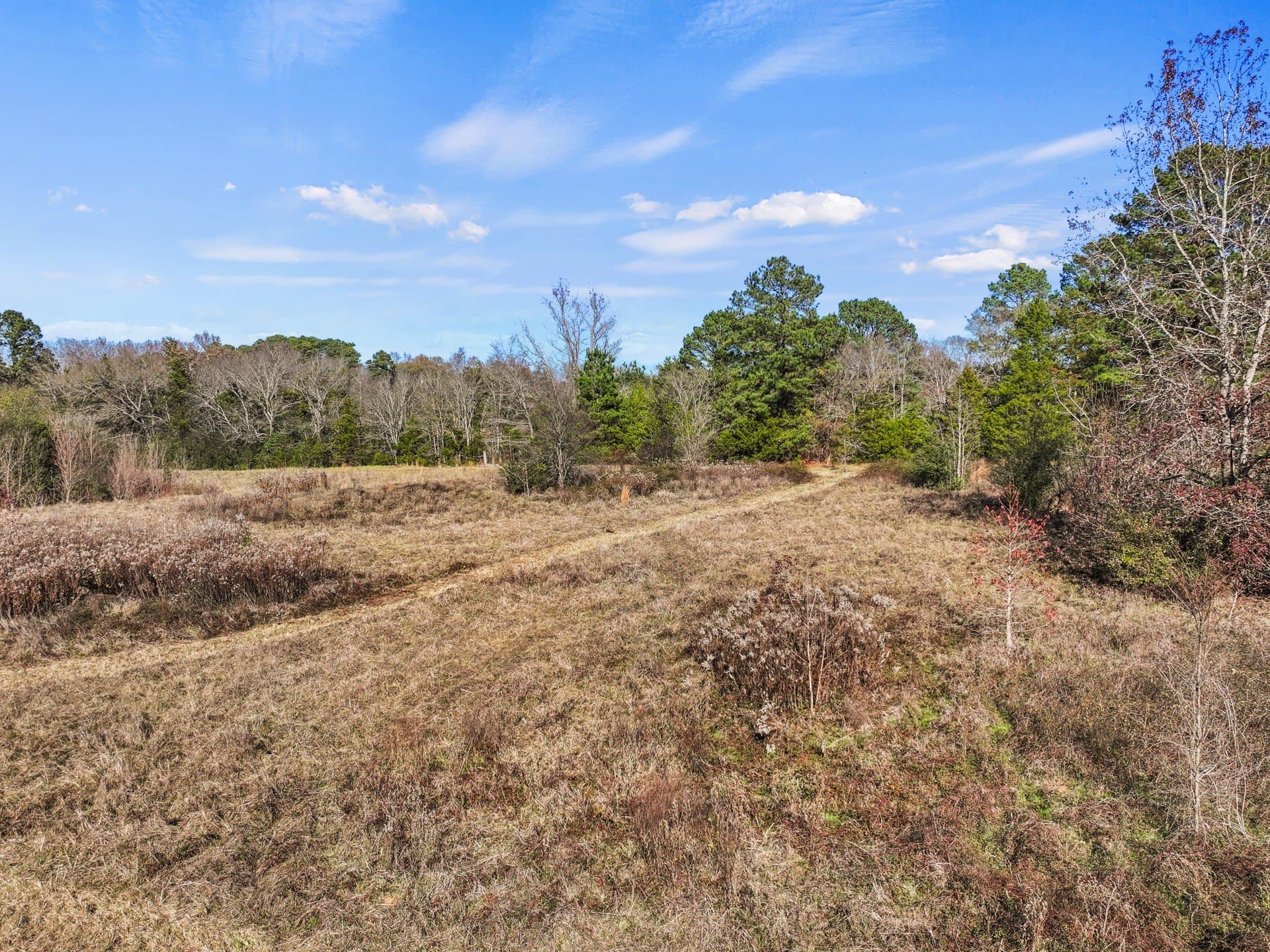 12 acres in Cass County - photo 12
