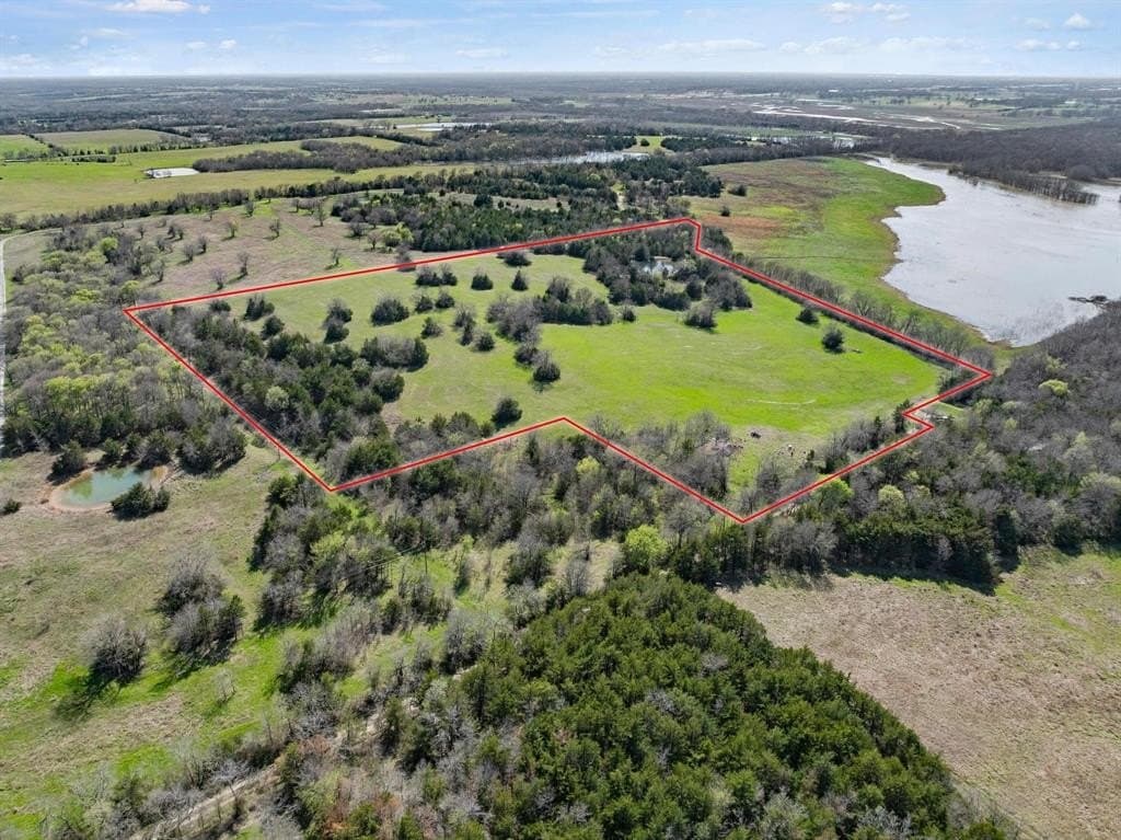 17 acres in Fannin County gallery image 3