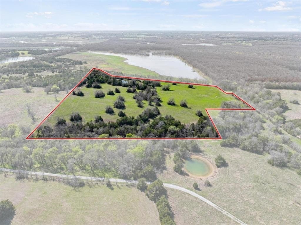 17 acres in Fannin County gallery image 2