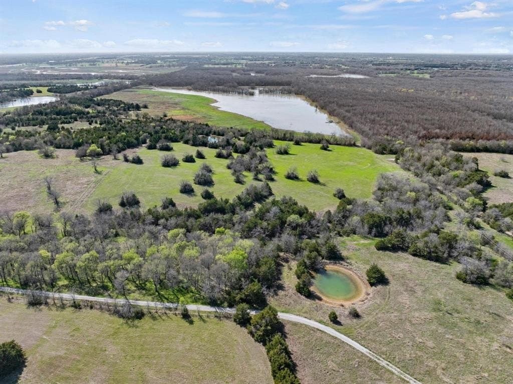 17 acres in Fannin County gallery image 4