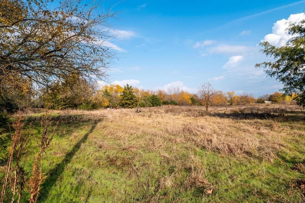 25.16 acres in Fannin County gallery image 3