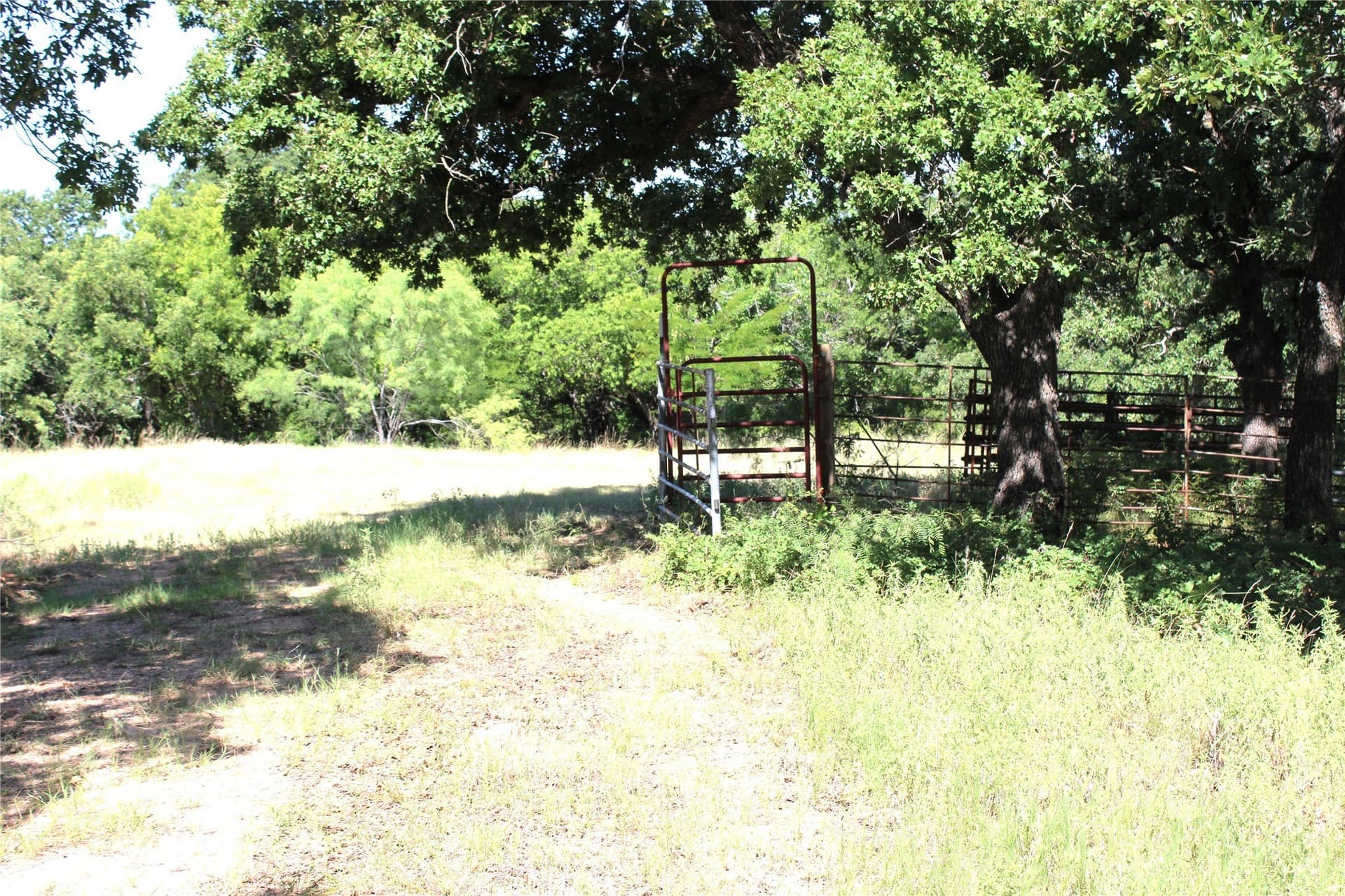 12 acres in Wise County - photo 6
