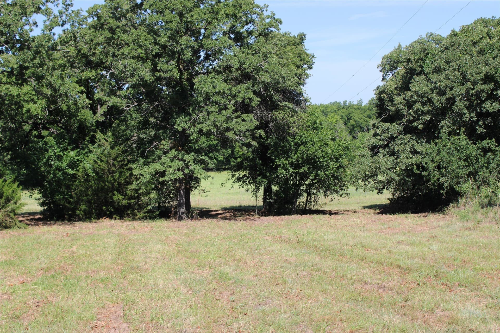 12 acres in Wise County - photo 3