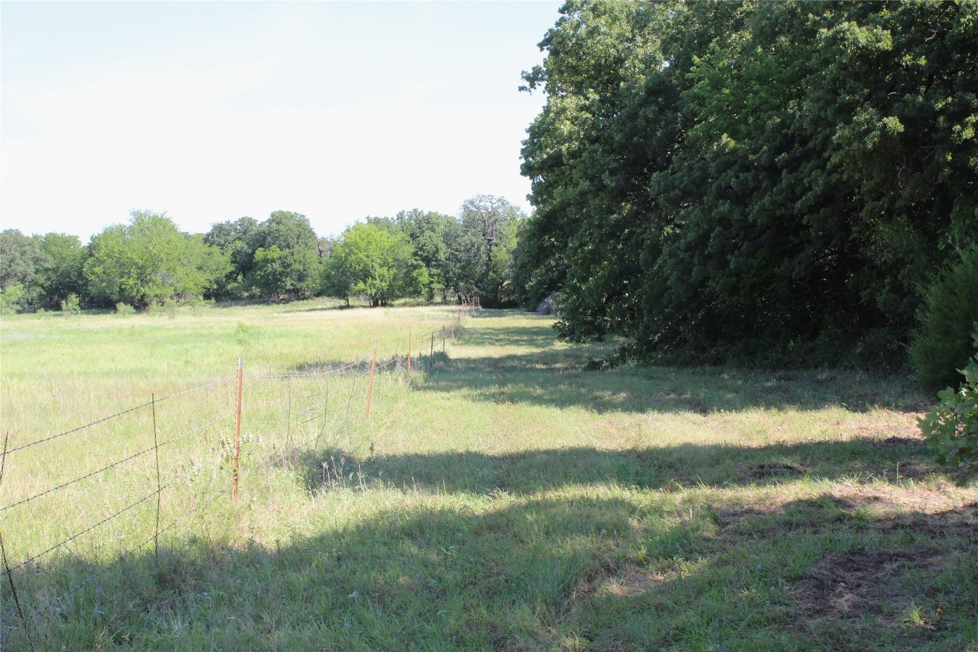 12 acres in Wise County - photo 5