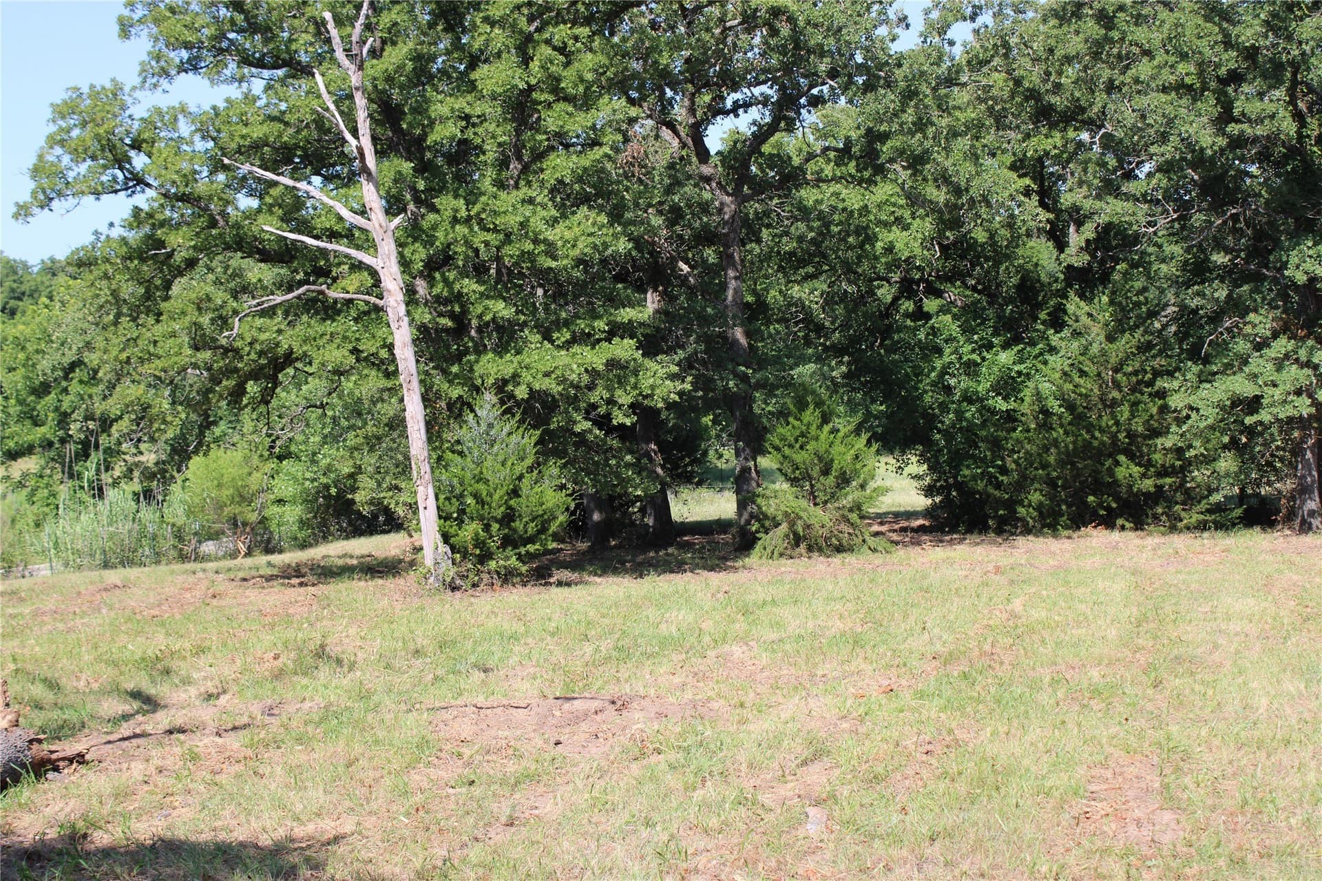 12 acres in Wise County - photo 4