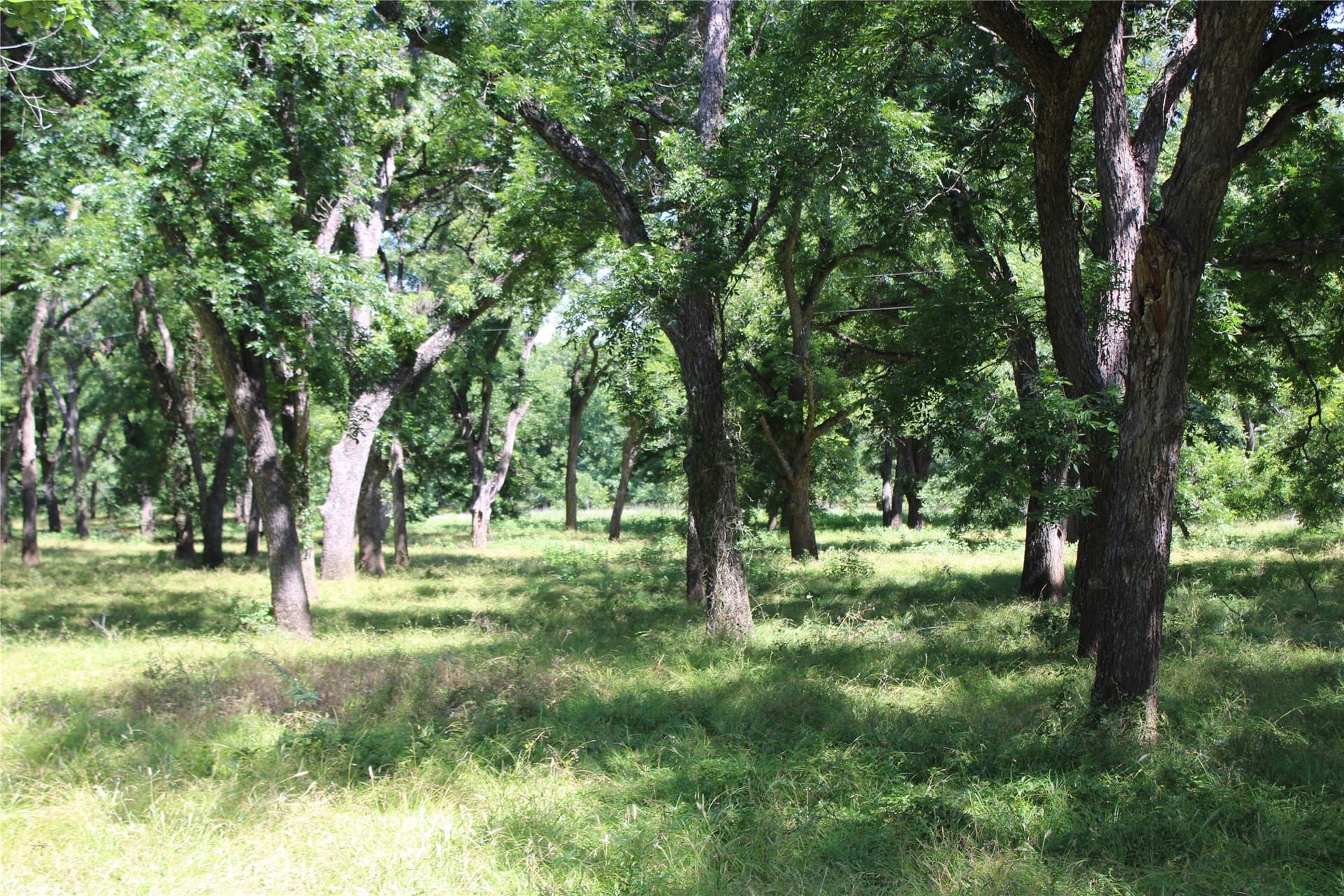 12 acres in Wise County - photo 10