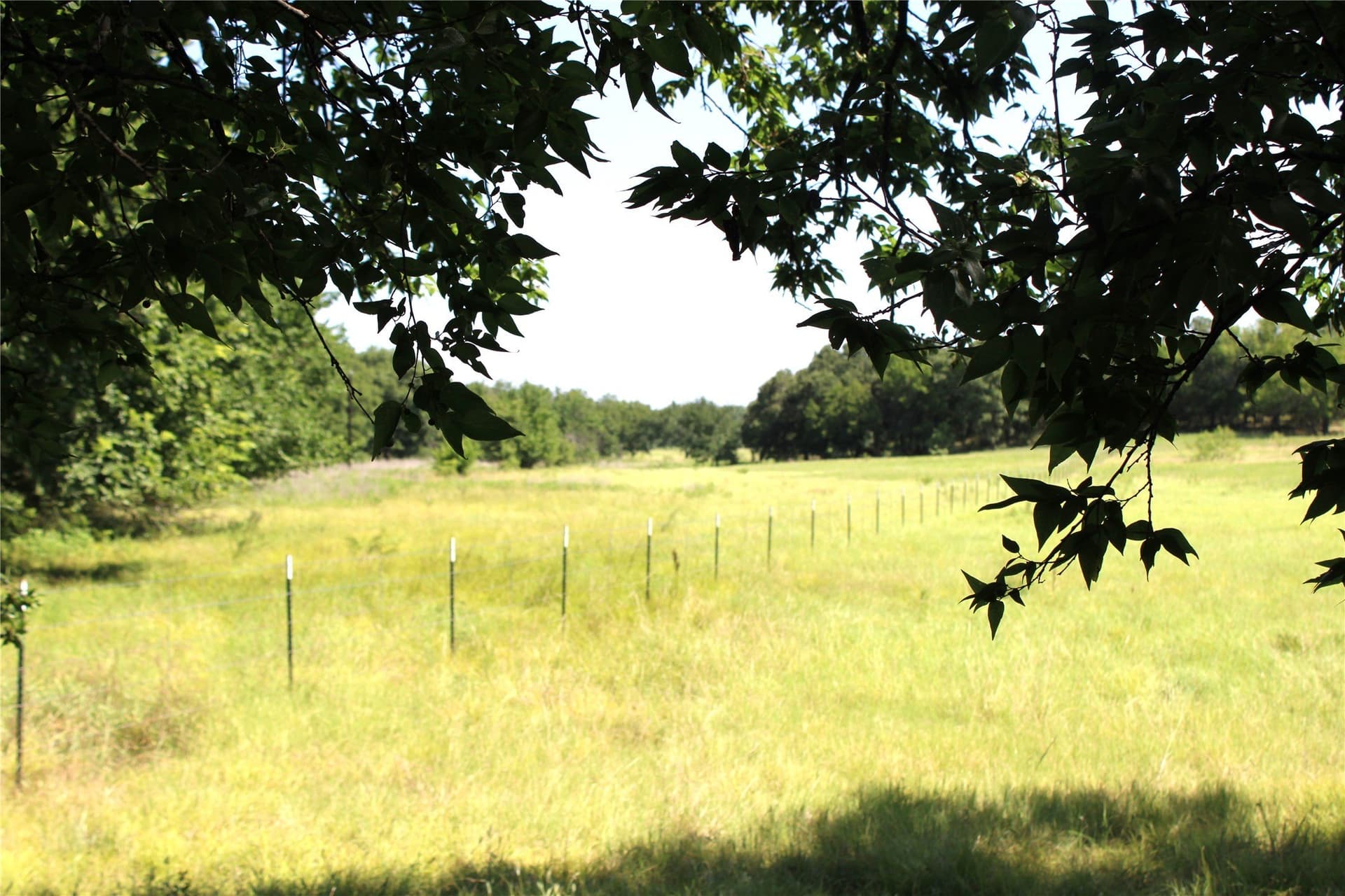 12 acres in Wise County - photo 9